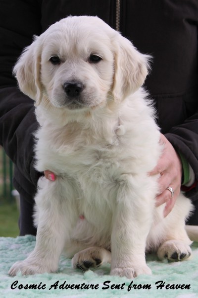 Mr Black 7 Weeks_1.jpg
